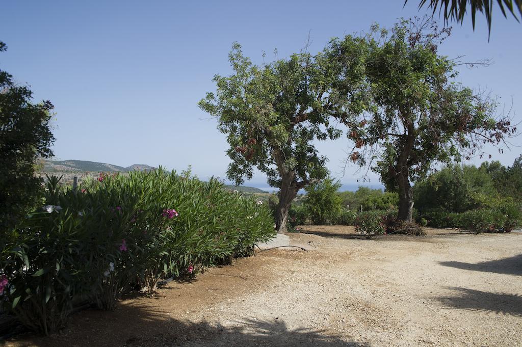 Akamas Edge Villas Polis Oda fotoğraf